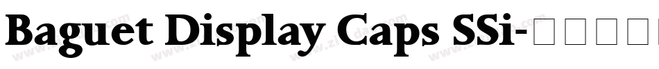 Baguet Display Caps SSi字体转换